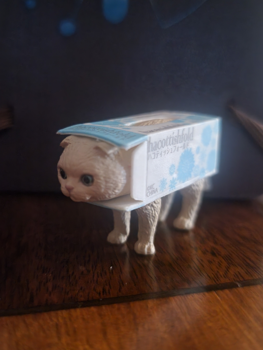 Hacottisfold - Cat In Tissue Box -
